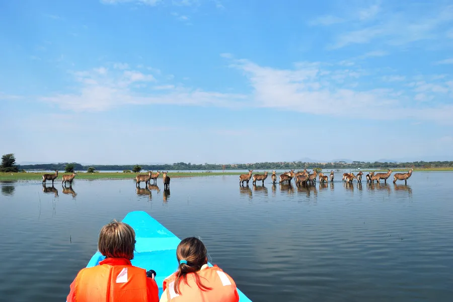 Lake Naivasha