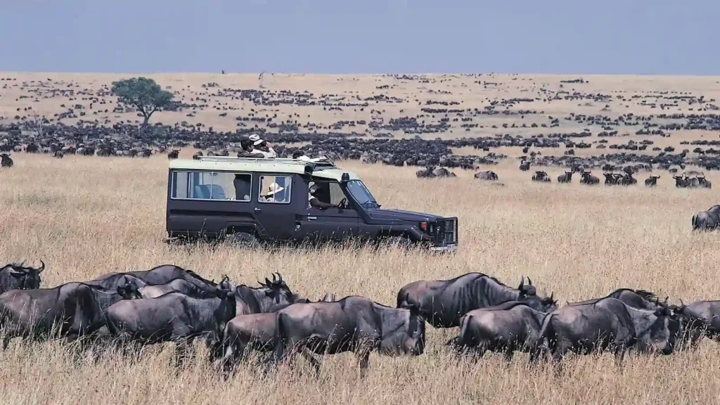 Maasai Mara National Reserve