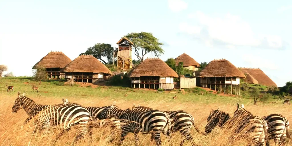 Uganda Safari