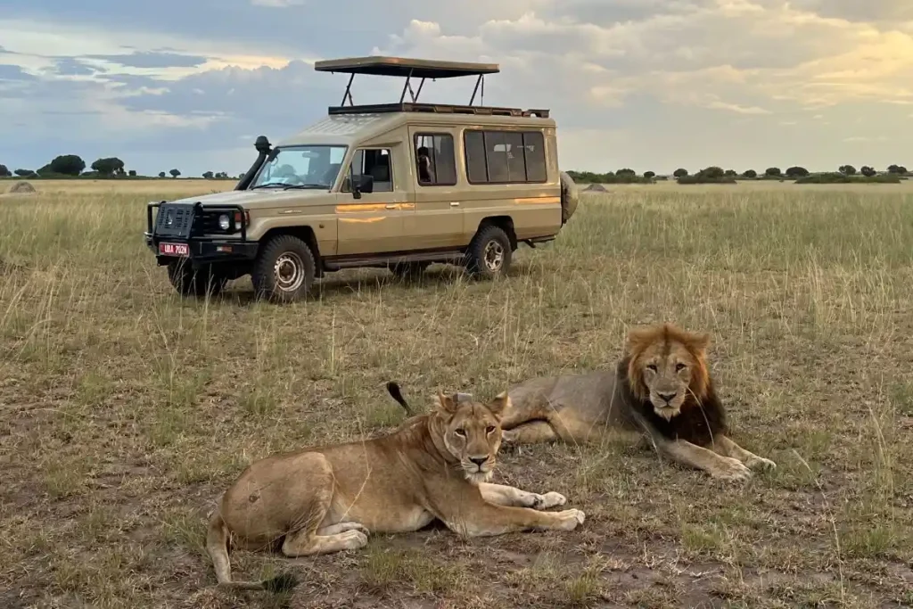 Uganda Safari