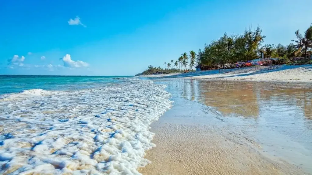 Watamu Beach Experience