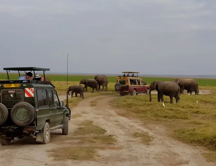 Aberdare National Park