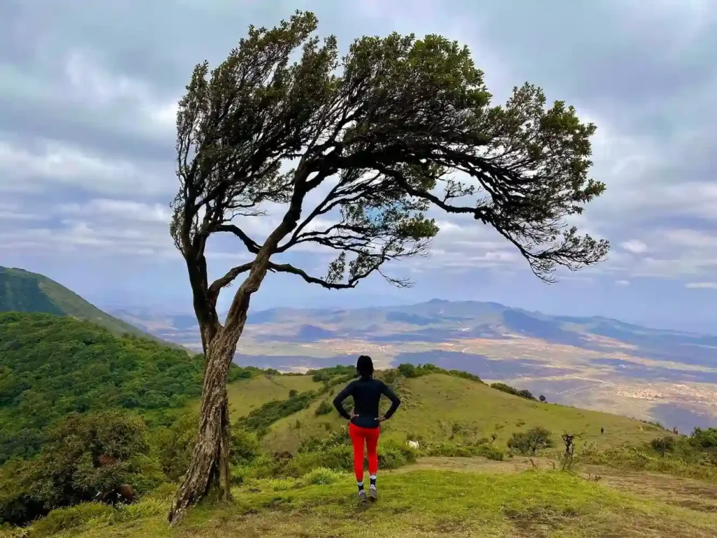 Ngong Hills