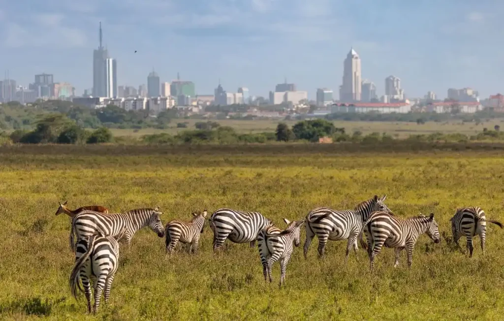 Nairobi City Tour