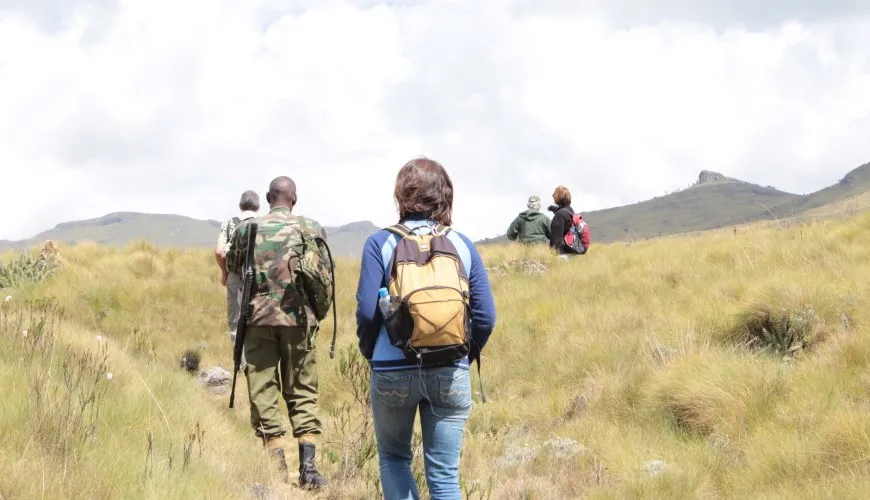 Aberdare Ranges Hike
