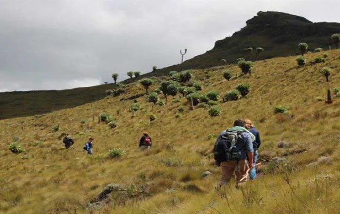Aberdare Ranges Hike