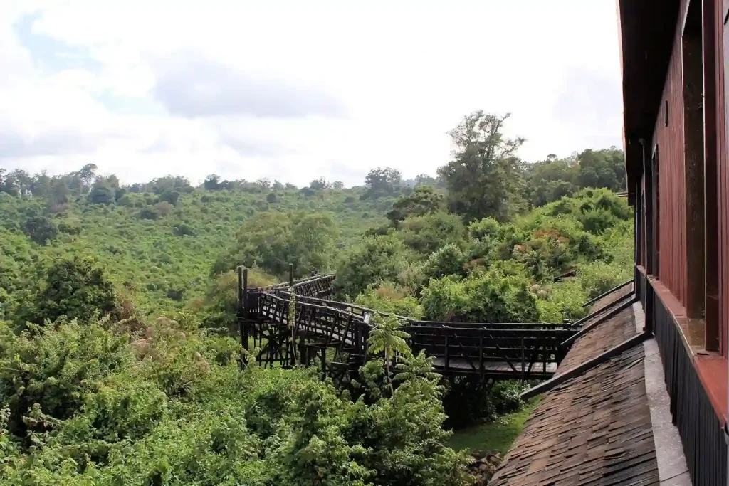 Aberdare National Park