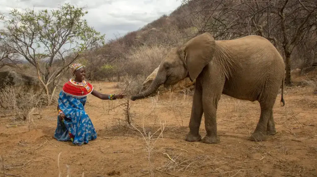Samburu