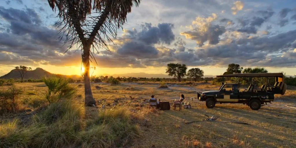 Meru National Park Safari