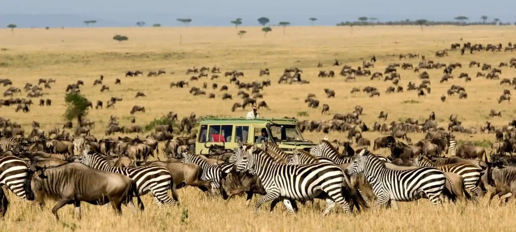 Masai Mara