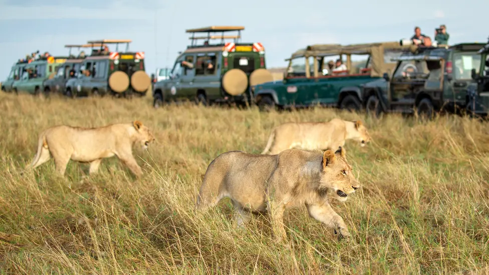 Masai Mara
