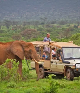 Samburu National Reserve