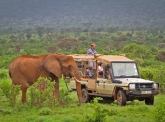 Samburu National Reserve
