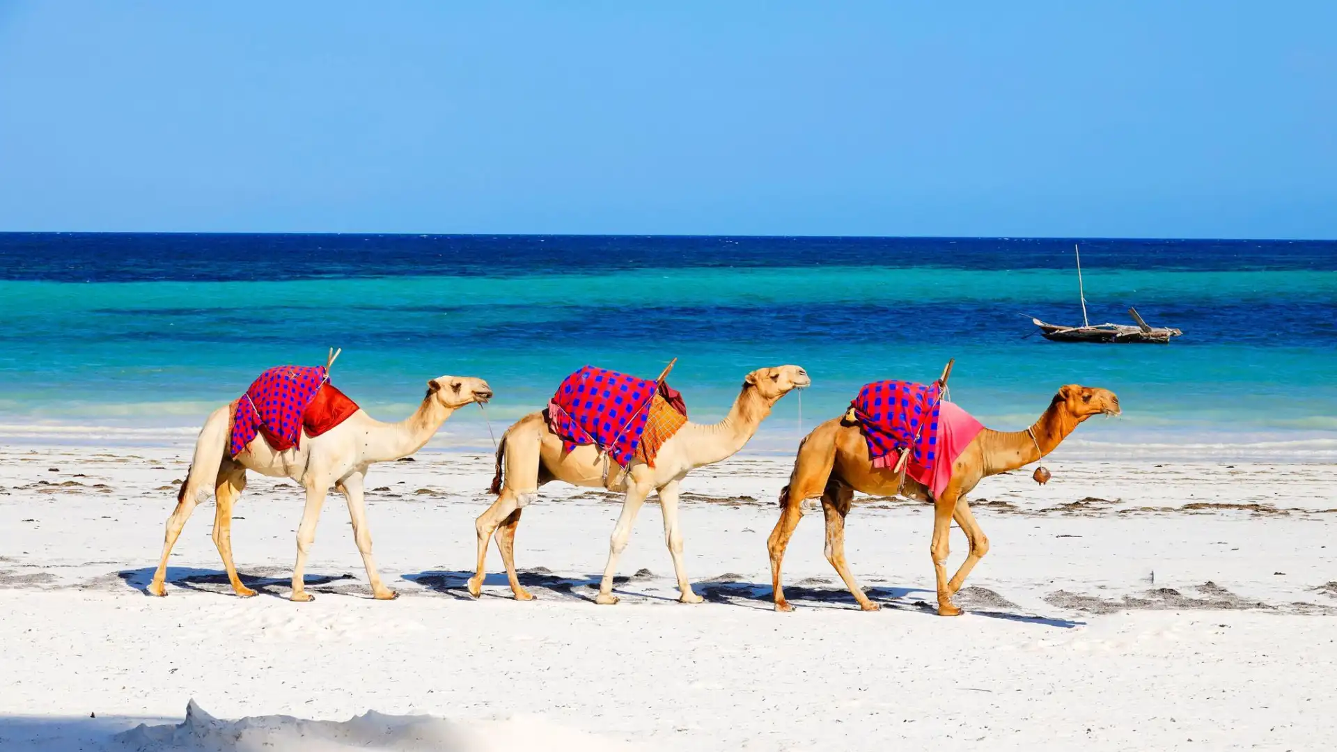 Diani-Beach