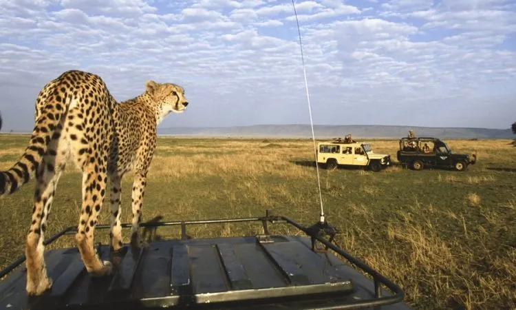 Masai Mara