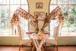 Places to Visit in Nairobi