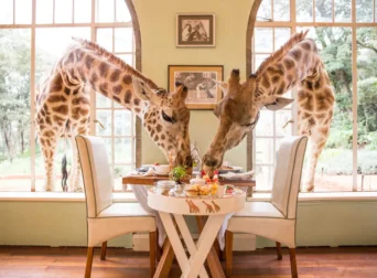 Places to Visit in Nairobi