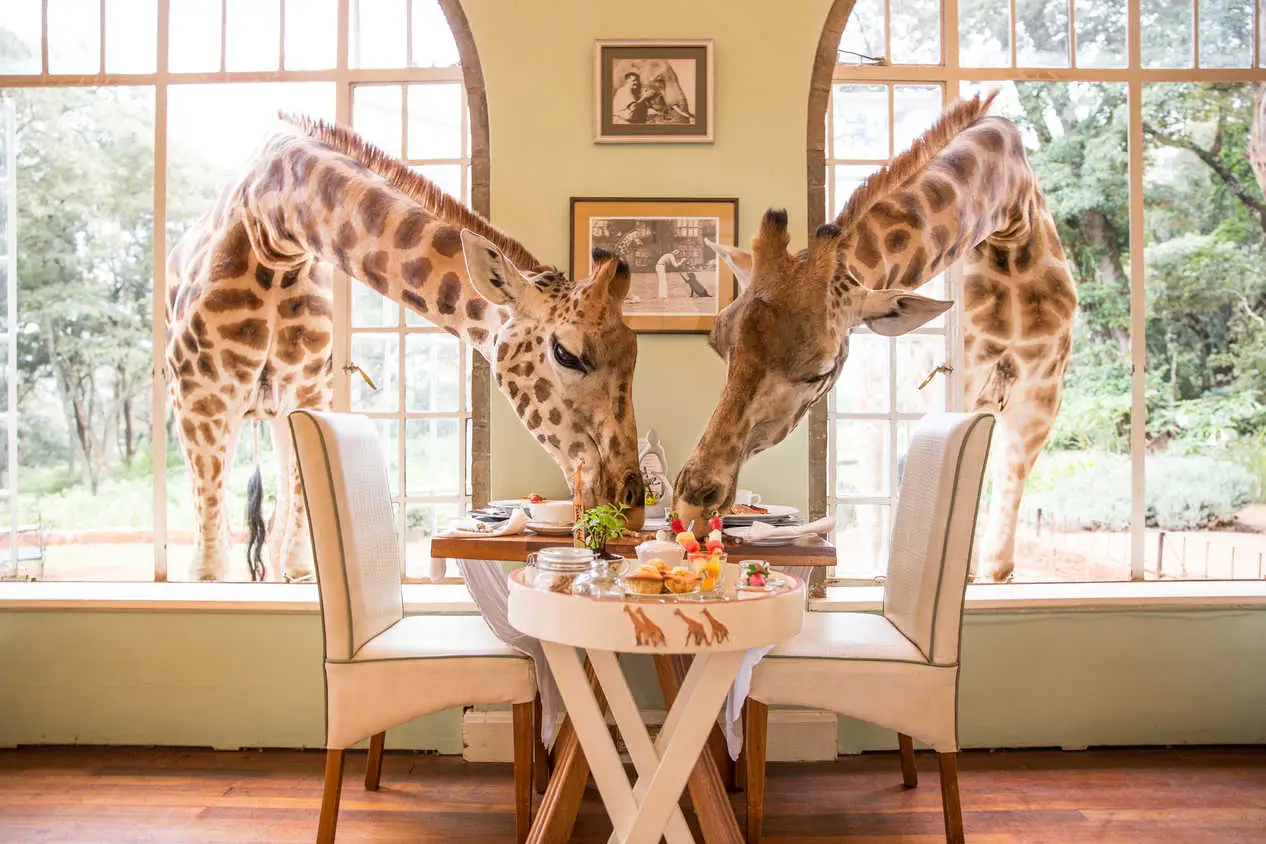 Places to Visit in Nairobi