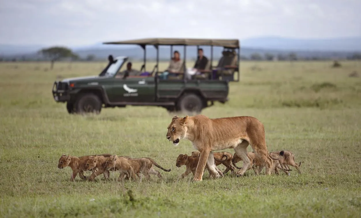 hideaway safaris