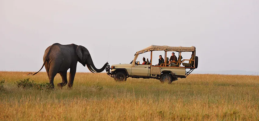 Maasai Mara
