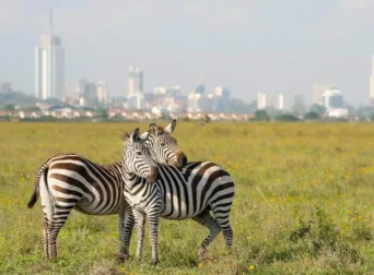 Nairobi National Park