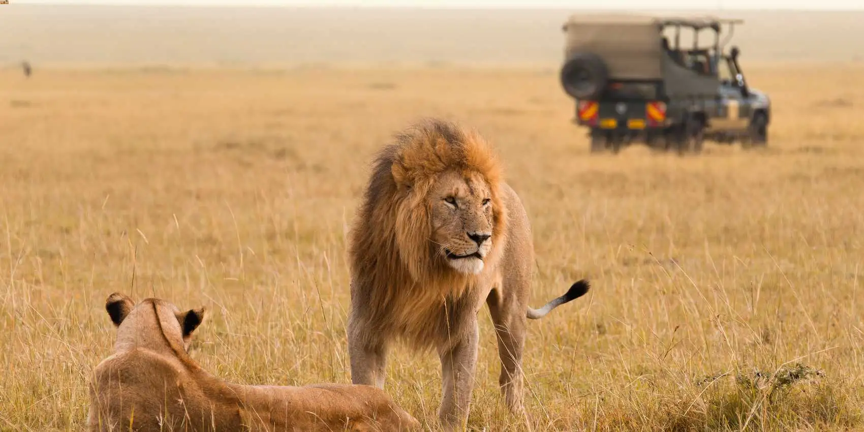 maasai_mara_national_reserve
