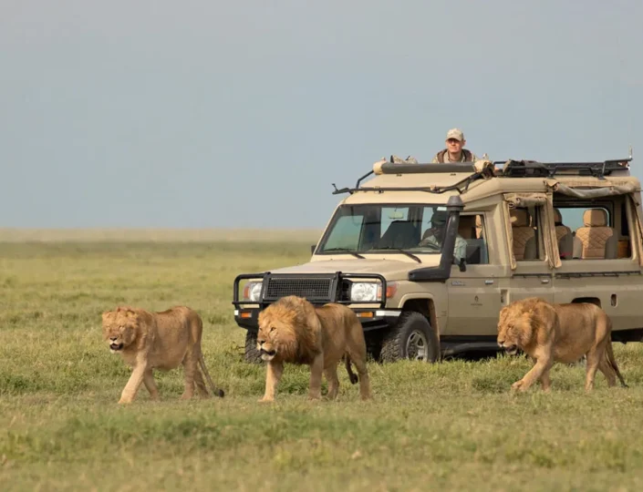 Serengeti National Park