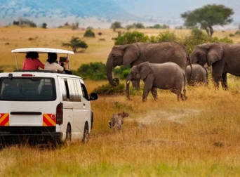 Amboseli National Park