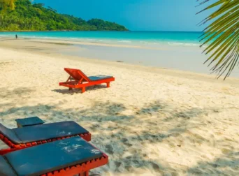 Beach Safari