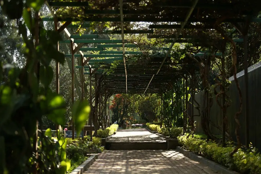 Kigali Genocide Memorial