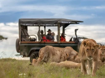Maasai Mara