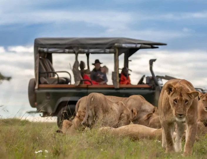 Maasai Mara