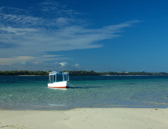 Kenya Safari and Beach Holiday Packages
