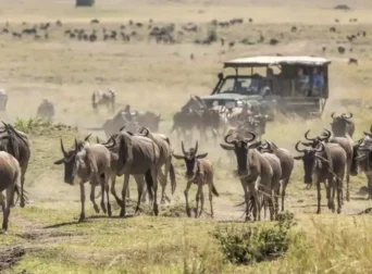 Maasai Mara National Reserve