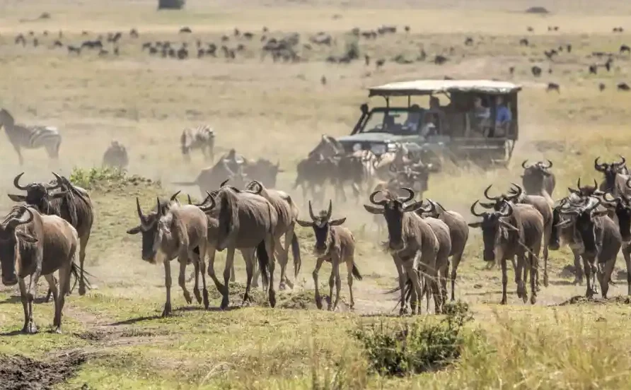 Maasai Mara National Reserve