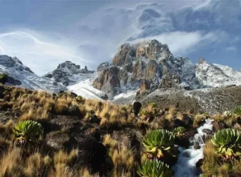 mt kenya mt