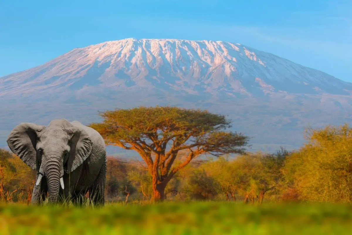 Mount-Kenya
